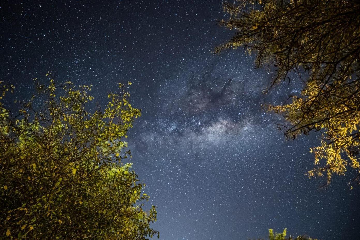 Aa Lodge Maasai Mara Talek ภายนอก รูปภาพ