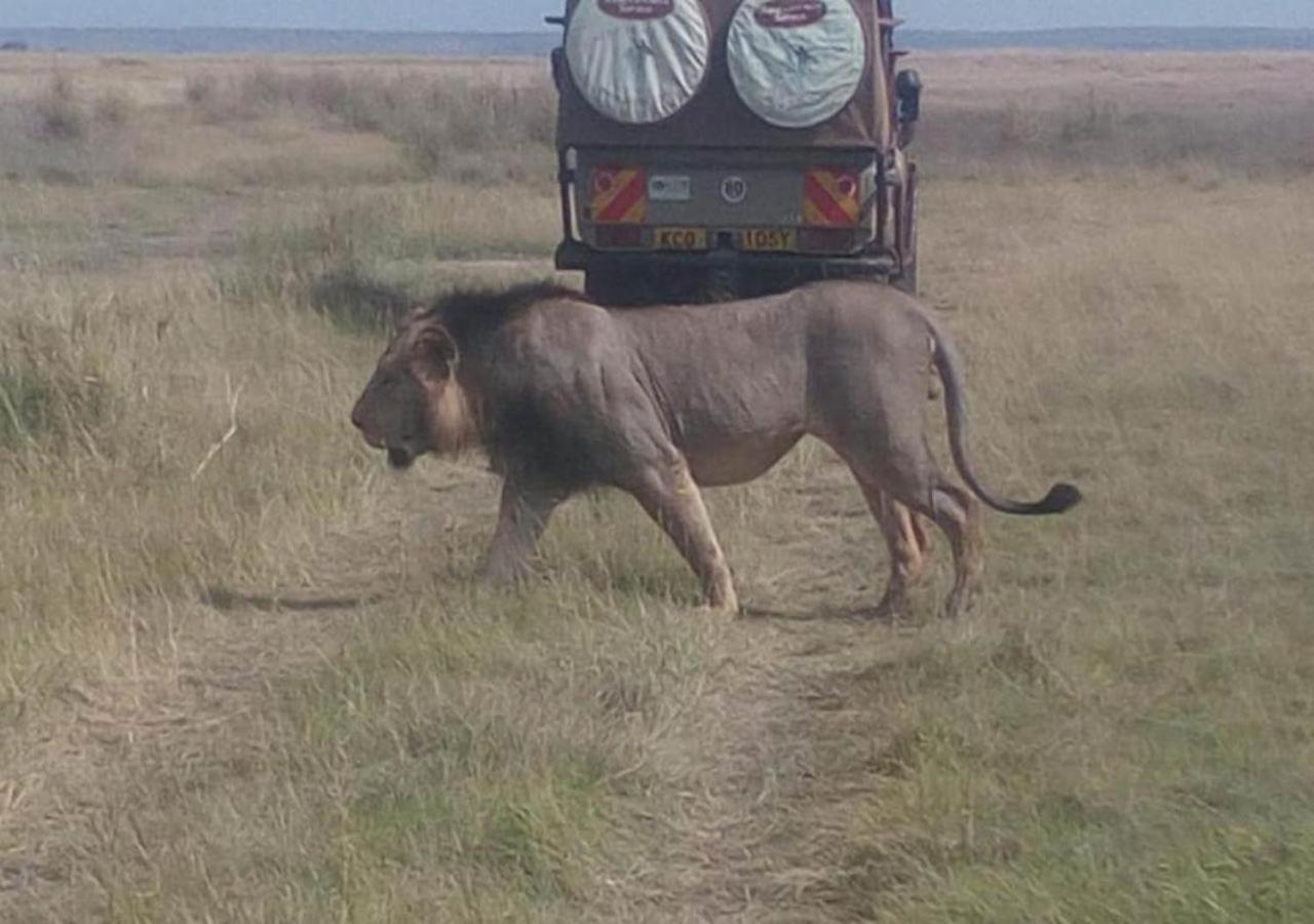 Aa Lodge Maasai Mara Talek ภายนอก รูปภาพ