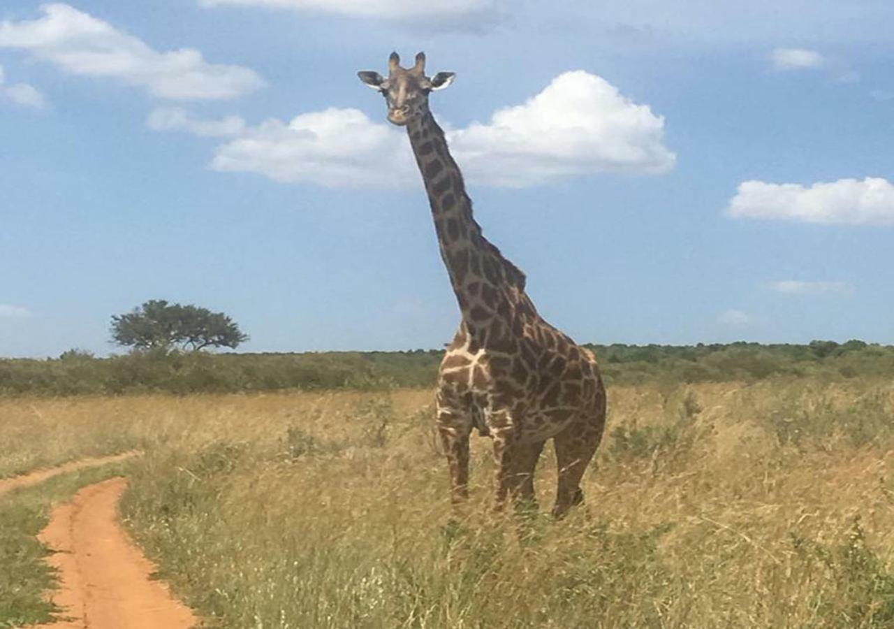 Aa Lodge Maasai Mara Talek ภายนอก รูปภาพ
